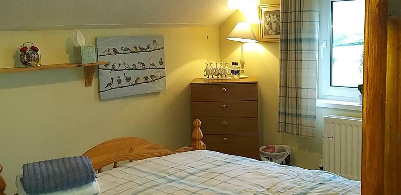 Antrim Heights Bnb ภายนอก รูปภาพ
